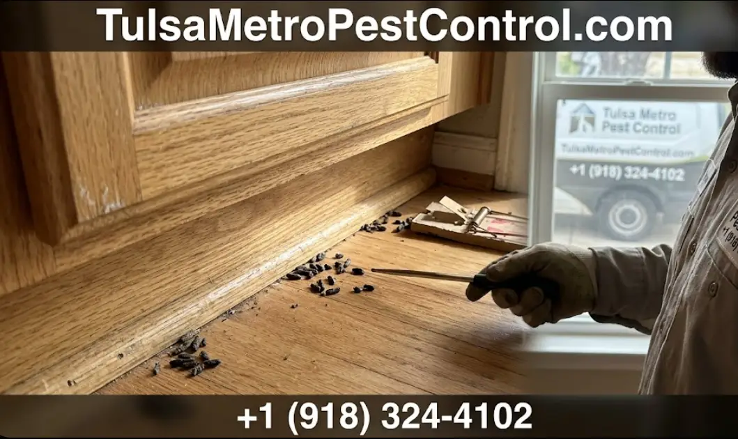 Rodent Control pest close-up